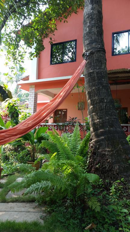 Cozy Dream Apartment Anjuna Room photo